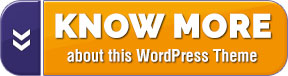 Download BlogRank Pro WordPress Theme