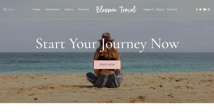 Download Blossom Travel Pro Theme Now!