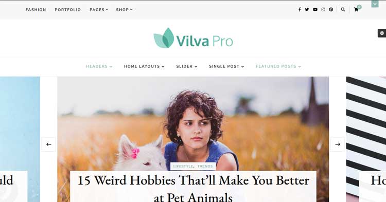 Download Vilva Pro WordPress Blog Theme Now!