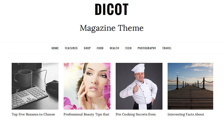 Dicot WordPress Blog Magazine Theme