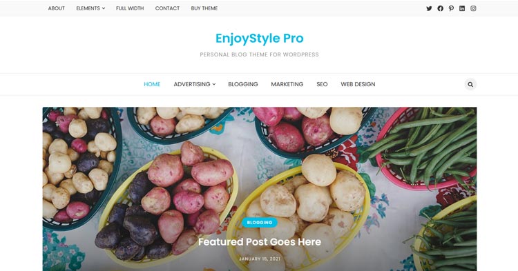 Download EnjoyStyle Pro WordPress Theme Now!