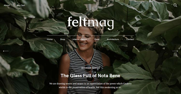 Download Feltmag Felt LT Blog Magazine Theme Now!