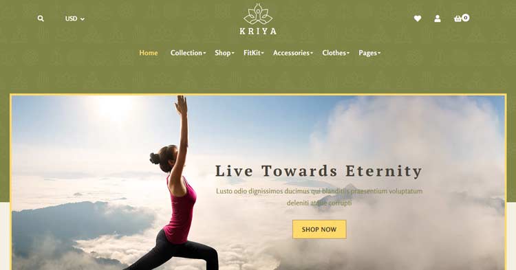 Download Kriya Pilates Yoga Shopify Theme Now!