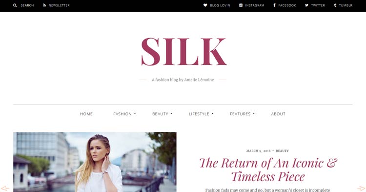 Silk WordPress Fashion Blog Theme
